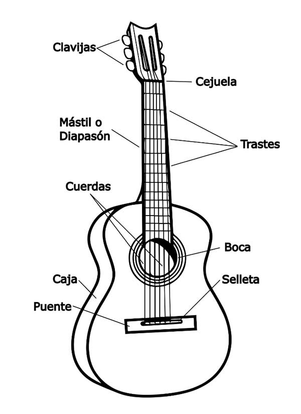 Fig. 1. Partes de la guitarra.